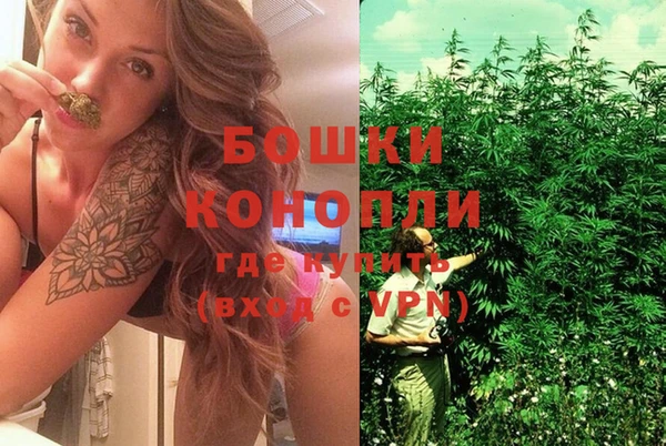 COCAINE Богданович
