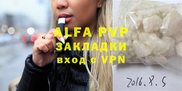 a pvp Бородино