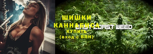 a pvp Бородино